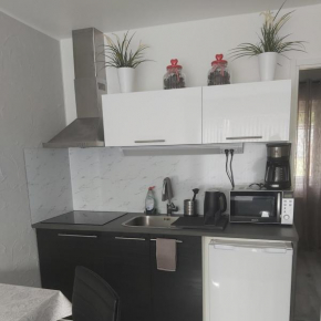 Armina apartment Veikkola
